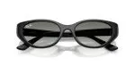 Rayban RB4457D-667711 - Folded View Rayban RB4457D-667711 - Folded View