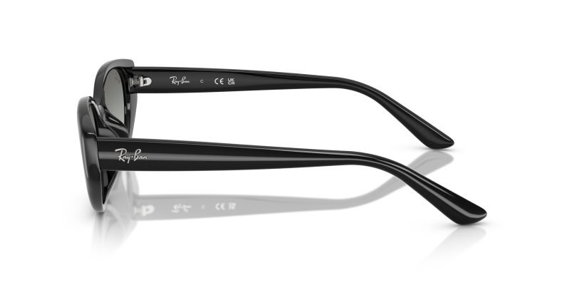 Rayban RB4457D-667711 - Side View