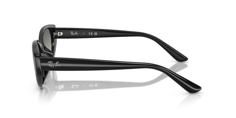 Rayban RB4457D-667711 - Side View