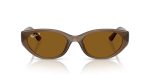 Rayban RB4457D-677983 Rayban RB4457D-677983