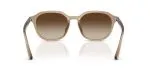 Rayban RB4459D-616613 - Back View