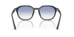 Rayban RB4459D-623019 - Back View
