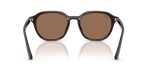 Rayban RB4459D-623173 - Back View Rayban RB4459D-623173 - Back View