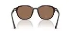 Rayban RB4459D-623173 - Back View
