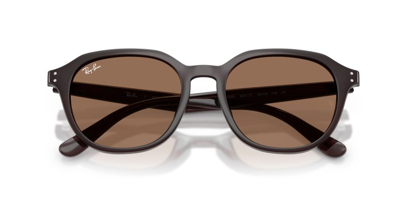 Rayban RB4459D-623173 - Folded View