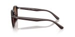 Rayban RB4459D-623173 - Side View Rayban RB4459D-623173 - Side View