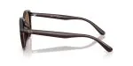 Rayban RB4459D-623173 - Side View