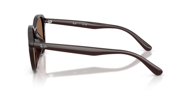 Rayban RB4459D-623173 - Side View