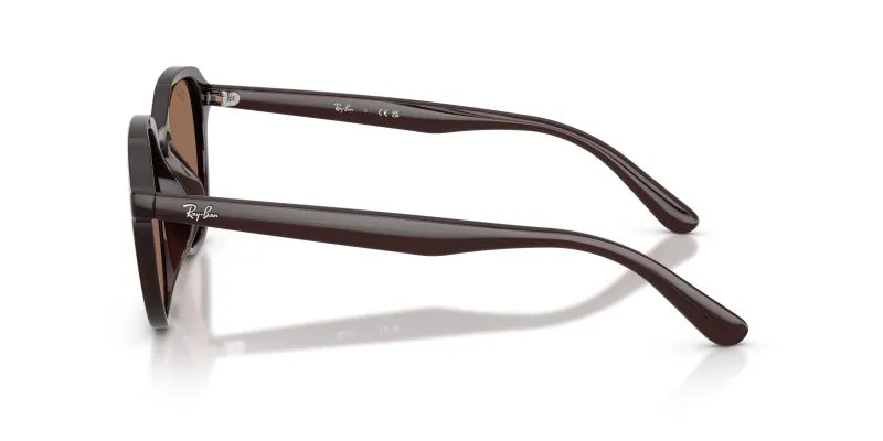 Rayban RB4459D-623173 - Side View