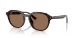 Rayban RB4459D-623173 - Quarter View Rayban RB4459D-623173 - Quarter View