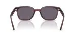 Rayban RB4461D-659373 - Back View Rayban RB4461D-659373 - Back View