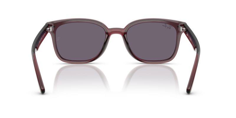 Rayban RB4461D-659373 - Back View