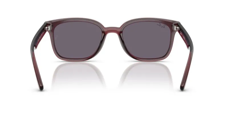 Rayban RB4461D-659373 - Back View