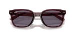 Rayban RB4461D-659373 - Folded View Rayban RB4461D-659373 - Folded View