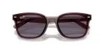 Rayban RB4461D-659373 - Folded View Rayban RB4461D-659373 - Folded View
