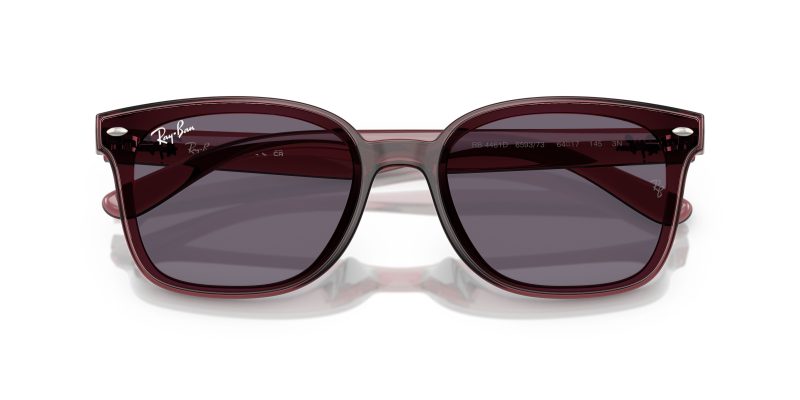 Rayban RB4461D-659373 - Folded View