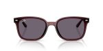 Rayban RB4461D-659373 Rayban RB4461D-659373