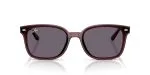 Rayban RB4461D-659373 Rayban RB4461D-659373