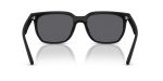 Rayban RB4466D-601S81 - Back View