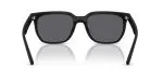 Rayban RB4466D-601S81 - Back View