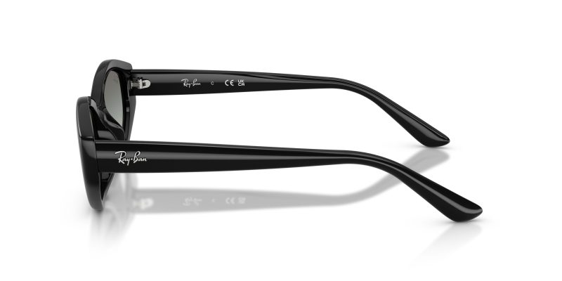 Rayban RB4473D-667711 - Side View