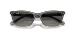 Rayban RB4474D 667511 - Folded View Rayban RB4474D 667511 - Folded View