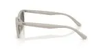 Rayban RB4474D-685887 - Side View Rayban RB4474D-685887 - Side View