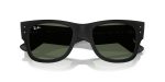 Rayban RB4840S-601S71 - Folded View Rayban RB4840S-601S71 - Folded View