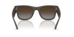 Rayban RB4840S-6124T5 - Back View