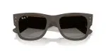 Rayban RB4840S-6124T5 - Folded View