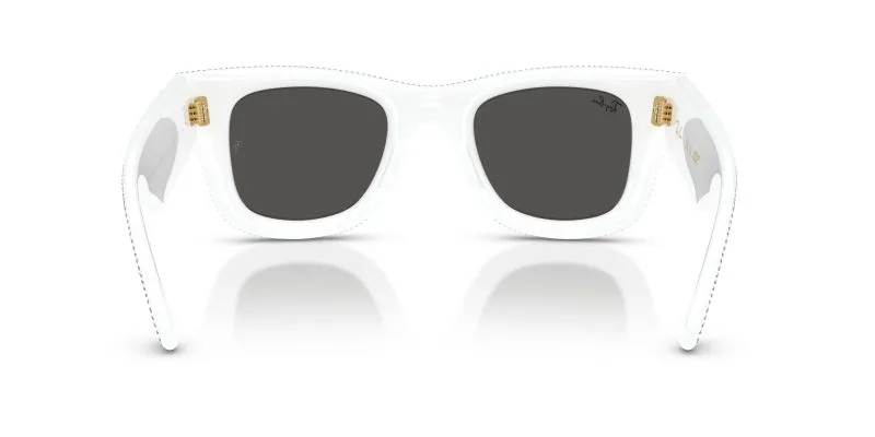 Rayban WAYFARER PUFFER RB4940BP-686687 - Back View