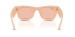 Rayban WAYFARER PUFFER RB4940BP-688984 - Back View