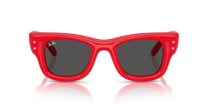 Rayban WAYFARER PUFFER RB4940B-686187 Rayban WAYFARER PUFFER RB4940B-686187