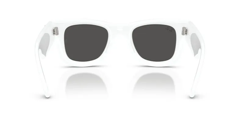 Rayban WAYFARER PUFFER RB4940B-686387 - Back View