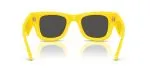 Rayban WAYFARER PUFFER RB4940-683087 - Back View Rayban WAYFARER PUFFER RB4940-683087 - Back View