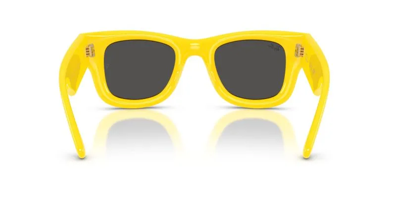 Rayban WAYFARER PUFFER RB4940-683087 - Back View
