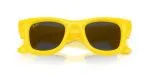 Rayban WAYFARER PUFFER RB4940-683087 - Folded View Rayban WAYFARER PUFFER RB4940-683087 - Folded View