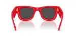 Rayban WAYFARER PUFFER RB4940-683187 - Back View Rayban WAYFARER PUFFER RB4940-683187 - Back View