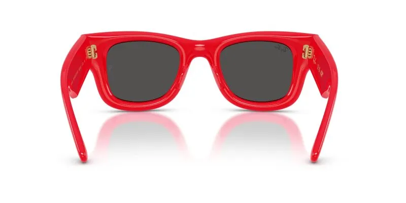 Rayban WAYFARER PUFFER RB4940-683187 - Back View