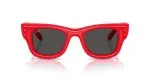 Rayban WAYFARER PUFFER RB4940-683187 Rayban WAYFARER PUFFER RB4940-683187