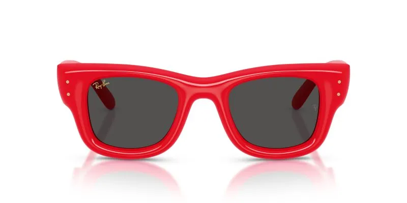Rayban WAYFARER PUFFER RB4940-683187 Rayban WAYFARER PUFFER RB4940-683187