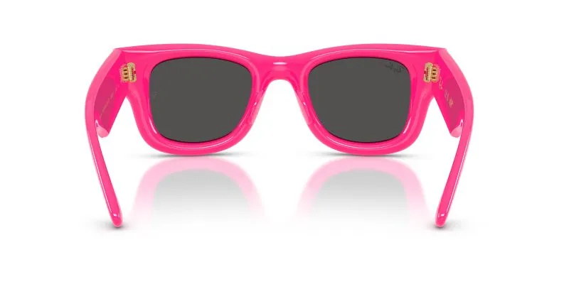 Rayban WAYFARER PUFFER RB4940-683287 - Back View