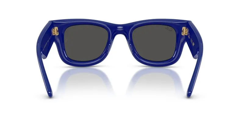 Rayban WAYFARER PUFFER RB4940-683387 - Back View