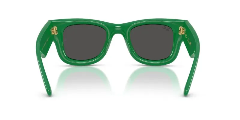 Rayban WAYFARER PUFFER RB4940-683487 - Back View