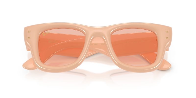 Rayban WAYFARER PUFFER RB4940-687584 - Folded View