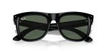 Rayban WAYFARER REVERSE RBR0502S-6677VR - Folded View