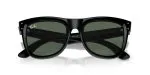 Rayban WAYFARER REVERSE RBR0502S-6677VR - Folded View