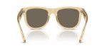 Rayban WAYFARER REVERSE RBR0502S-68215A - Back View