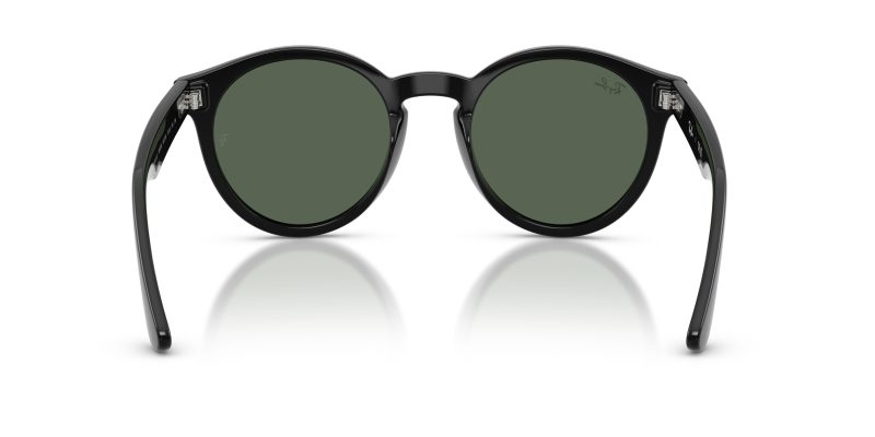 Rayban RBR0505S-6677VR - Back View