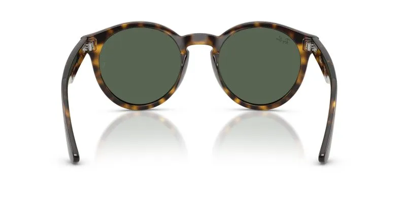 Rayban RBR0505S-6790VR - Back View